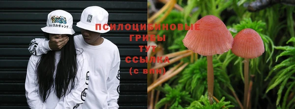 прущие крисы Алзамай