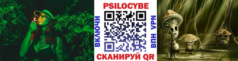 дарк нет состав  как найти закладки  Крым  Галлюциногенные грибы Psilocybine cubensis 